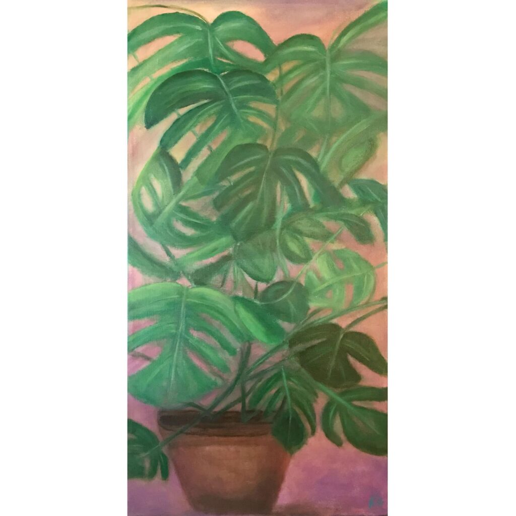 plant-3645-square plant-3645-square
